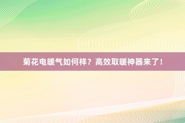 菊花电暖气如何样？高效取暖神器来了！