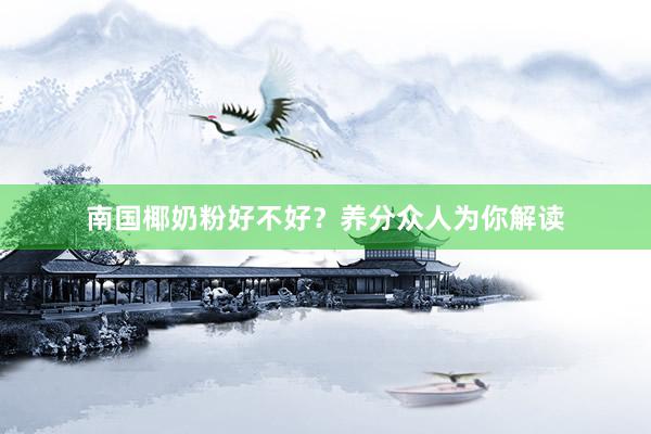 南国椰奶粉好不好？养分众人为你解读