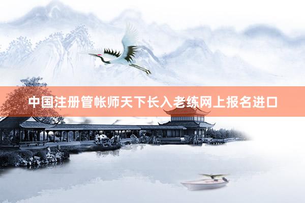 中国注册管帐师天下长入老练网上报名进口