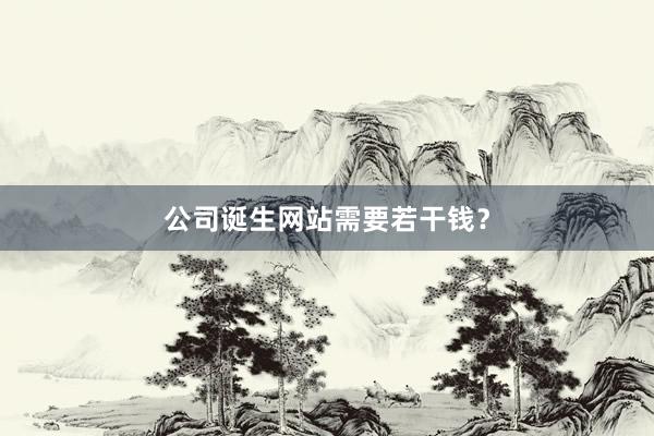 公司诞生网站需要若干钱？