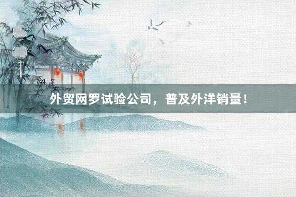 外贸网罗试验公司，普及外洋销量！