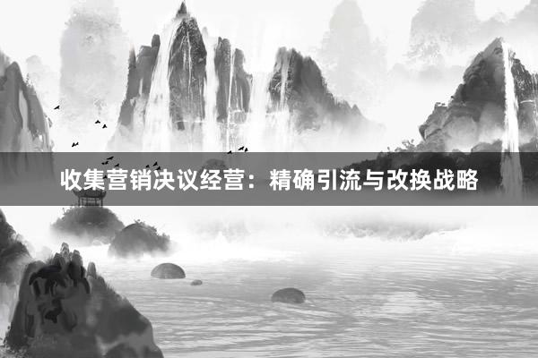 收集营销决议经营：精确引流与改换战略