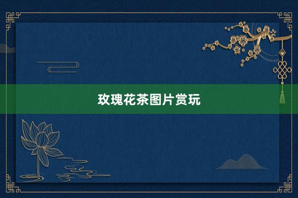 玫瑰花茶图片赏玩